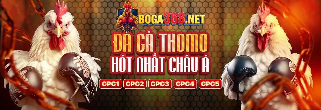 Sân vận động bóng đá sôi động tại qq8 chính thức