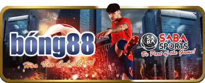 Chọn nền tảng uy tín như qq8 chính thức